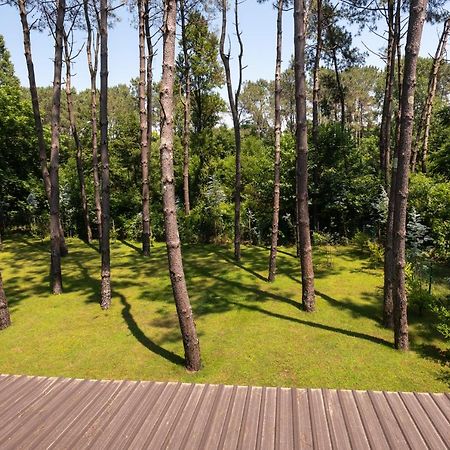 Buxus Hotel Shekvetili Exterior photo