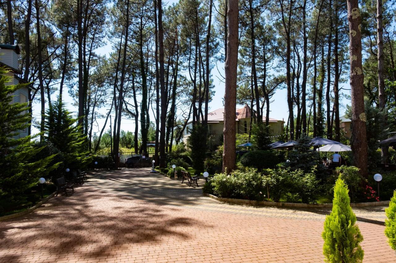 Buxus Hotel Shekvetili Exterior photo